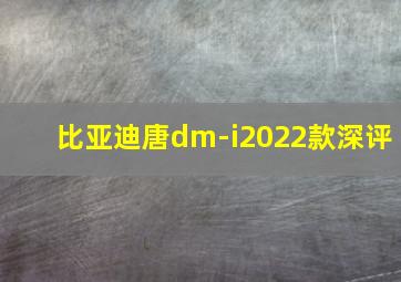 比亚迪唐dm-i2022款深评