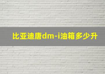 比亚迪唐dm-i油箱多少升