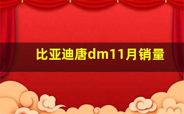 比亚迪唐dm11月销量