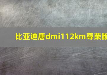 比亚迪唐dmi112km尊荣版