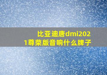 比亚迪唐dmi2021尊荣版音响什么牌子