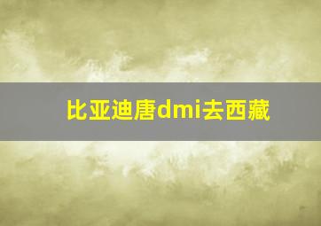 比亚迪唐dmi去西藏