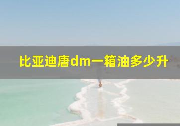 比亚迪唐dm一箱油多少升