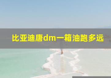 比亚迪唐dm一箱油跑多远