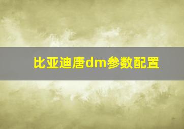 比亚迪唐dm参数配置