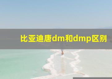 比亚迪唐dm和dmp区别