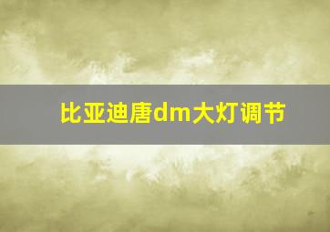 比亚迪唐dm大灯调节