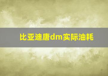 比亚迪唐dm实际油耗