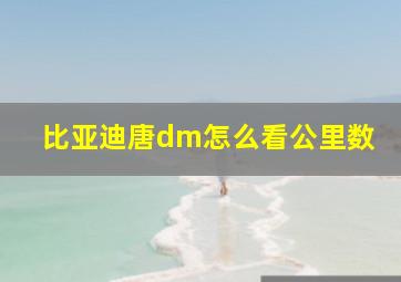 比亚迪唐dm怎么看公里数