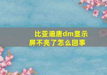 比亚迪唐dm显示屏不亮了怎么回事