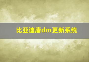 比亚迪唐dm更新系统