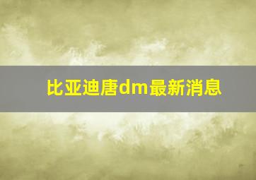 比亚迪唐dm最新消息