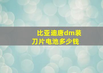 比亚迪唐dm装刀片电池多少钱