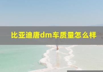 比亚迪唐dm车质量怎么样