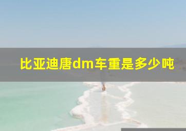 比亚迪唐dm车重是多少吨