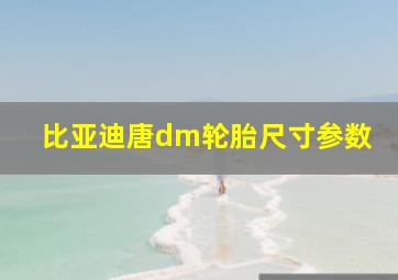 比亚迪唐dm轮胎尺寸参数