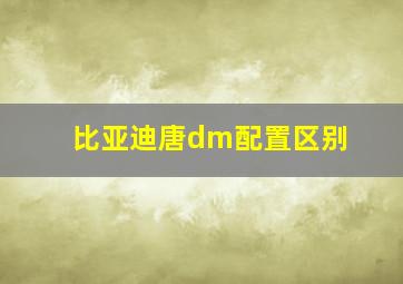 比亚迪唐dm配置区别