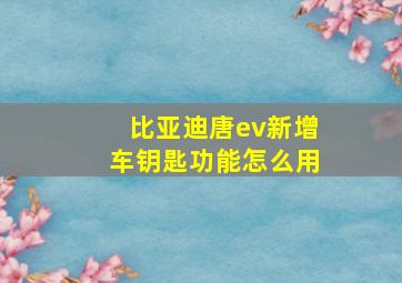 比亚迪唐ev新增车钥匙功能怎么用