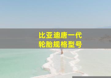 比亚迪唐一代轮胎规格型号