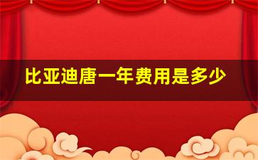 比亚迪唐一年费用是多少