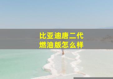 比亚迪唐二代燃油版怎么样