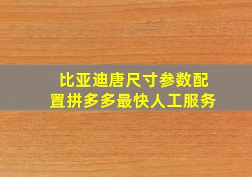 比亚迪唐尺寸参数配置拼多多最快人工服务