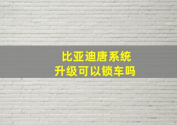 比亚迪唐系统升级可以锁车吗