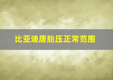 比亚迪唐胎压正常范围