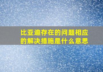 比亚迪存在的问题相应的解决措施是什么意思