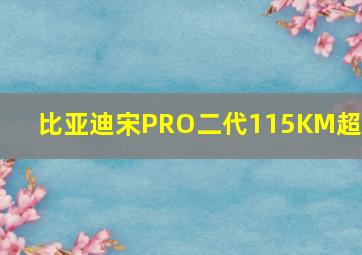 比亚迪宋PRO二代115KM超越