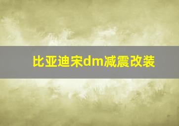 比亚迪宋dm减震改装