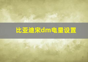 比亚迪宋dm电量设置