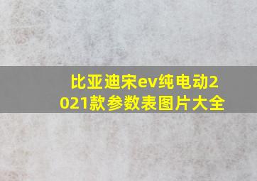 比亚迪宋ev纯电动2021款参数表图片大全