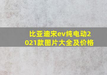 比亚迪宋ev纯电动2021款图片大全及价格