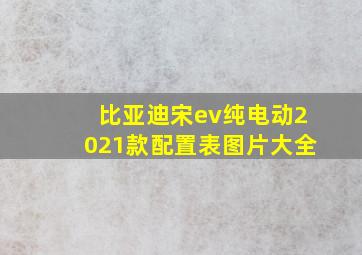 比亚迪宋ev纯电动2021款配置表图片大全