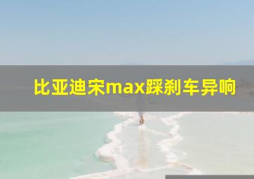 比亚迪宋max踩刹车异响