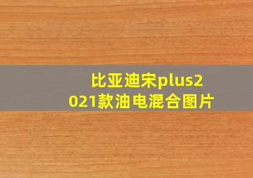 比亚迪宋plus2021款油电混合图片