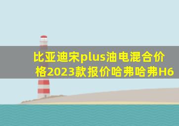 比亚迪宋plus油电混合价格2023款报价哈弗哈弗H6