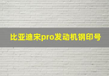 比亚迪宋pro发动机钢印号