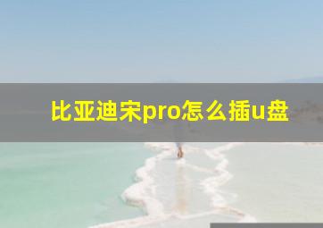 比亚迪宋pro怎么插u盘