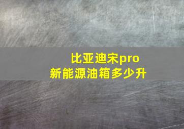 比亚迪宋pro新能源油箱多少升