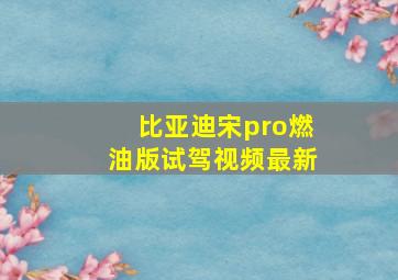 比亚迪宋pro燃油版试驾视频最新