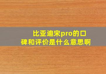 比亚迪宋pro的口碑和评价是什么意思啊