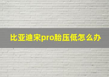 比亚迪宋pro胎压低怎么办