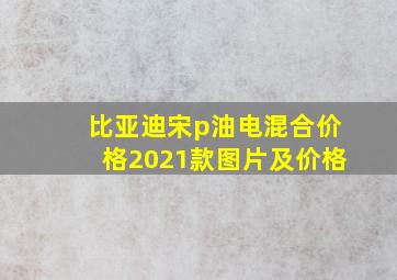 比亚迪宋p油电混合价格2021款图片及价格