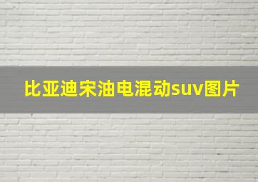 比亚迪宋油电混动suv图片