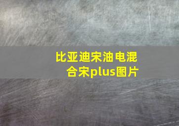 比亚迪宋油电混合宋plus图片