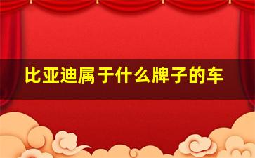 比亚迪属于什么牌子的车