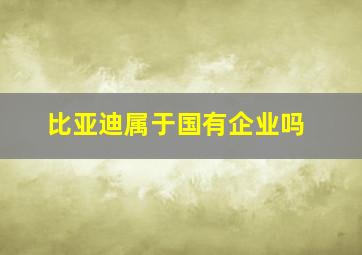 比亚迪属于国有企业吗