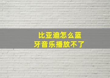 比亚迪怎么蓝牙音乐播放不了